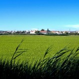contacto_com_a_natureza_20100419_1497433723